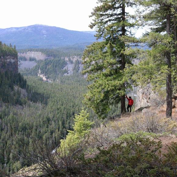 Meet your Posher, Kelly - Picture 1 of 1